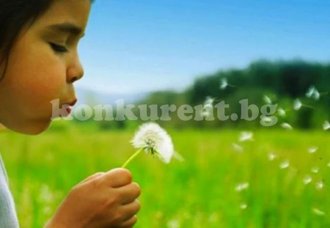 Вижте схемите, по които продават деца в Северозападна България