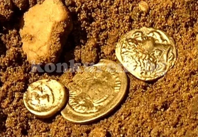 Иманярите се преквалифицират в ловци на трюфели