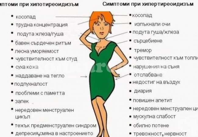 Щитовидната ви жлеза алармира, че не е наред с тези симптоми. Не ги пренебрегвайте, а вземете мерки на време (СНИМКА)