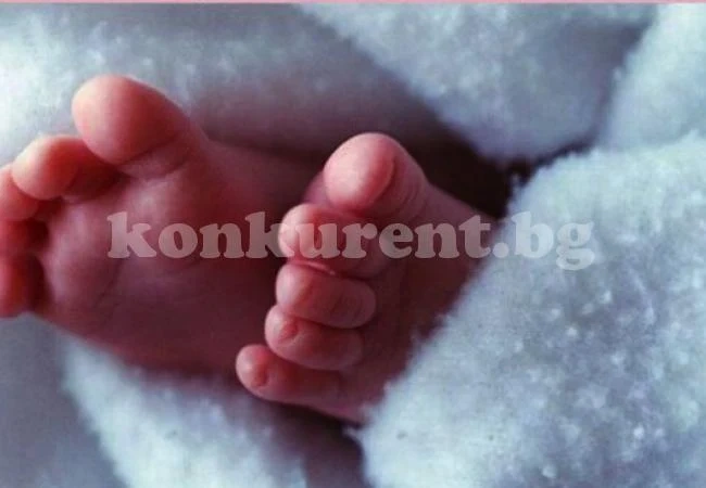 Стотици наши гейове търсят сурогатни майки в нета, плащат богато