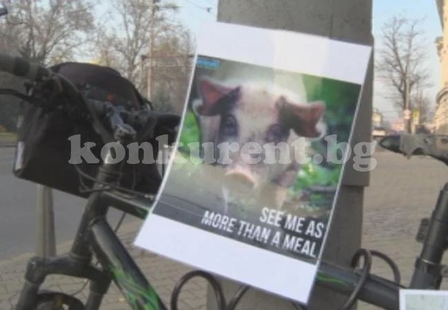 Вегани скочиха на празниците в столицата, зоват за Нова година без мезета