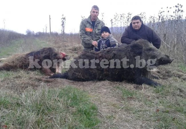 Опитен авджия гътна огромен глиган от раз
