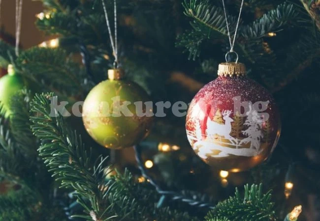 Полицаи спипаха пияни крадци на коледни елхи
