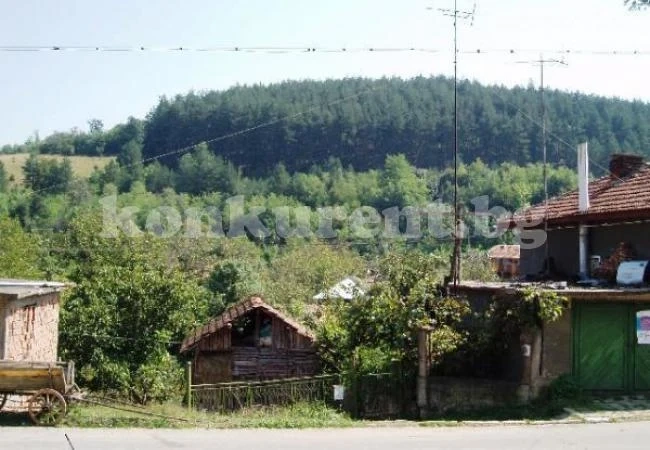 Жена е кмет на Горна Ковачица
