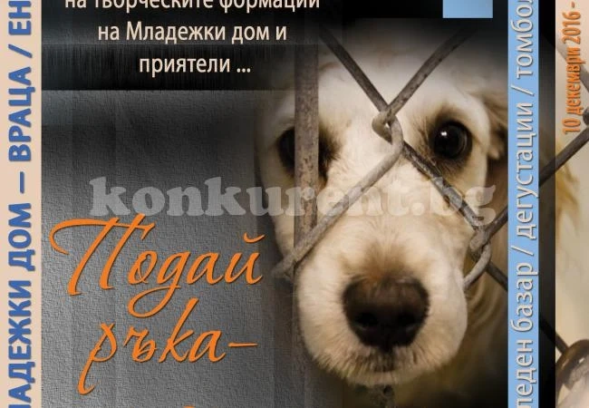 „Подай ръка - стопли лапа”