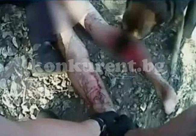 Шокиращ момент! Куче разкъсва гол мъж, полицаи галят животното по главата (ВИДЕО 18+)