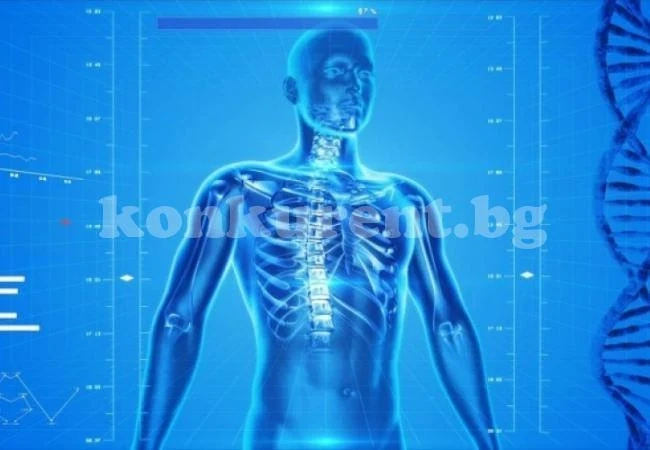 12 напълно безполезни части на човешкото тяло