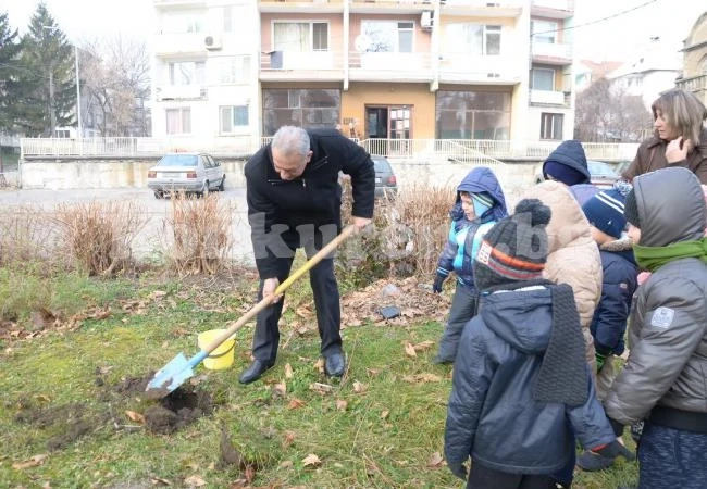 Малчугани засадиха борчета в Крайдунавския парк