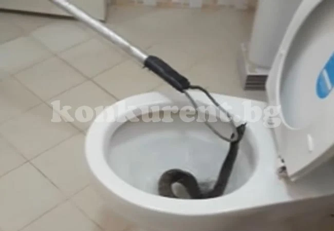 Огромно чудовище изпълзя от тоалетната на домакиня (ВИДЕО) 