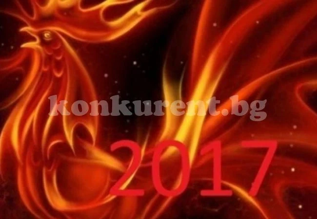 Годината на Червения огнен петел е идеална за брак и бебе
