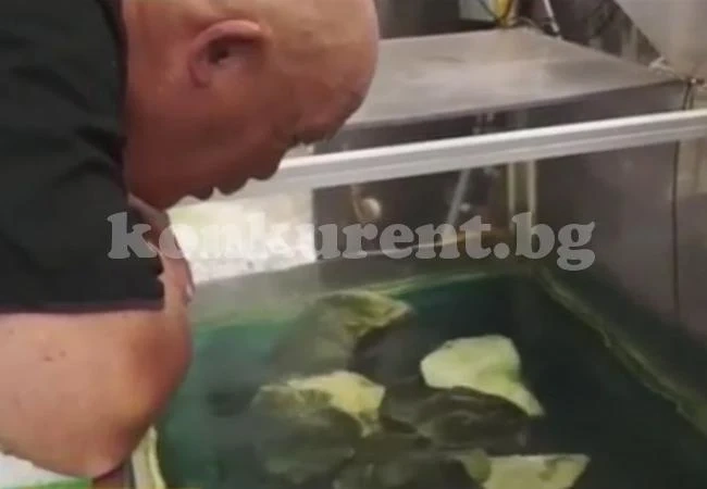 Този мъж има от 34 години за домашен любимец кръвожаден звяр (ВИДЕО)