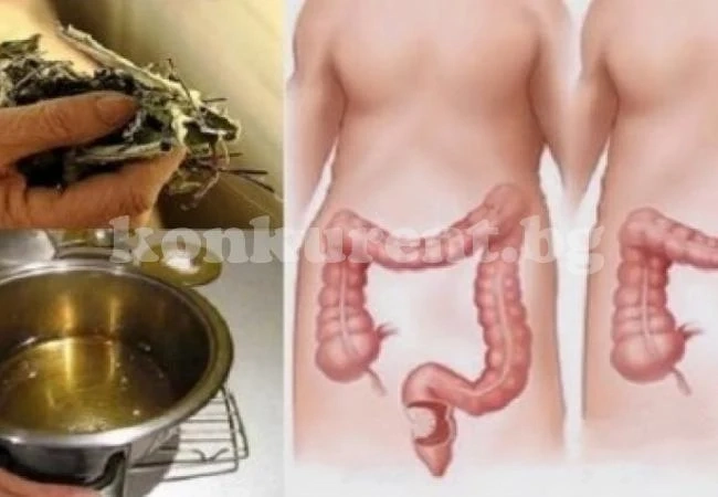 Ако сте надебелели много по празниците, пийте този чай и ще се стопите за седмици
