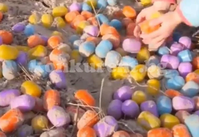 Морето изхвърли хиляди \