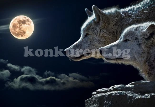 Тази нощ предстои да се случи нещо уникално! Ето какво трябва да направите