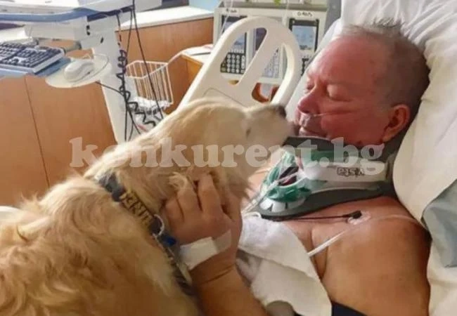 Куче-герой спаси живота на стопанина си като лежа 24 часа върху него и го спаси от измръзване (СНИМКИ)