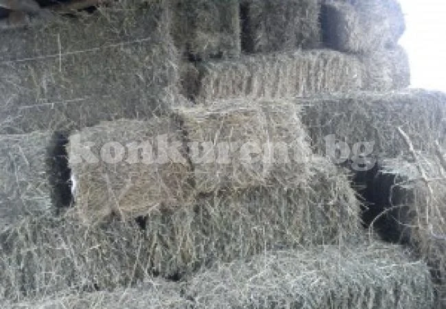 Крадец задигна бали с люцерна и ги продаде