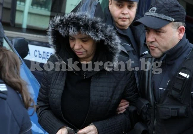 Анита Мейзер с нов опит да излезе от затвора