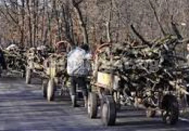 Автопатрул сгащи бракониери в Козлодуй