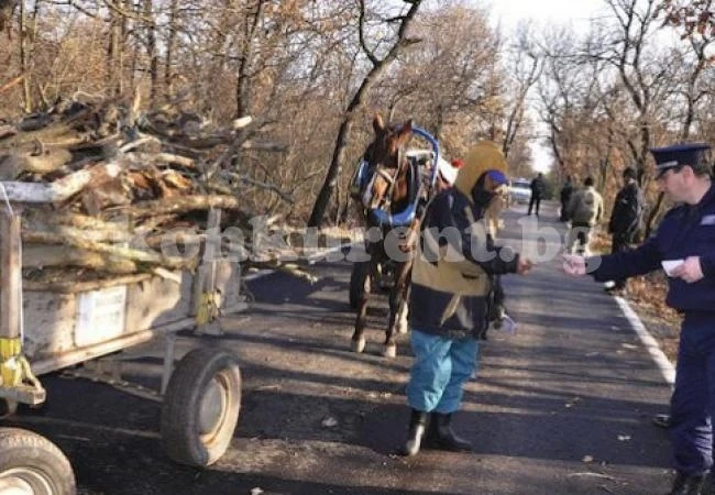 Край Нефела продължава незаконната сеч