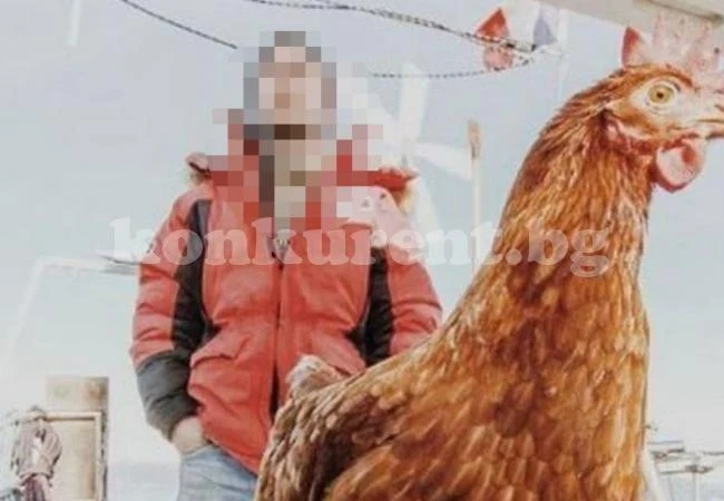 Спипаха кокошкар докато бяга с откраднатото