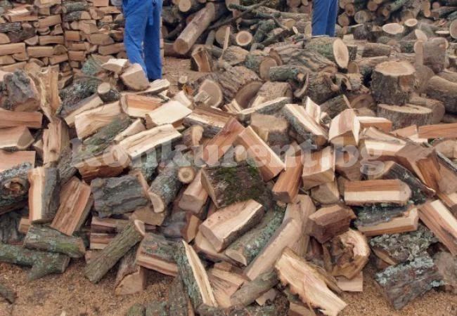 Дървата за огрев поскъпнаха с 10% заради студа