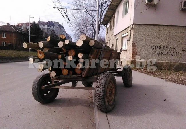 Сгащиха бракониер на дърва