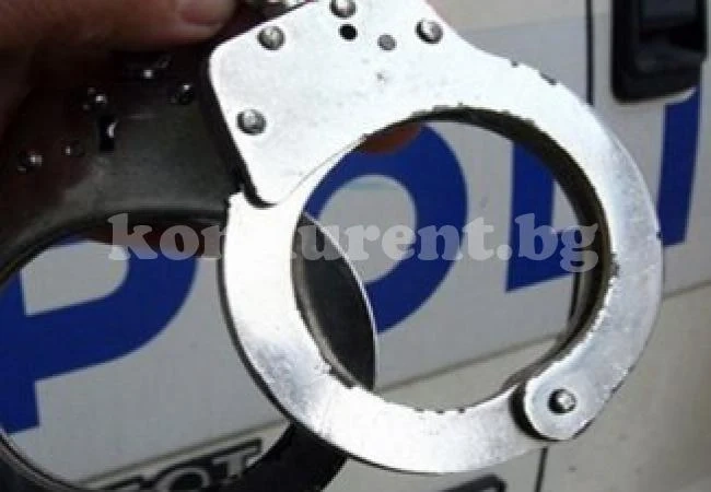 Заловиха крадливи близнаци, ще ги съдят по бързата процедура