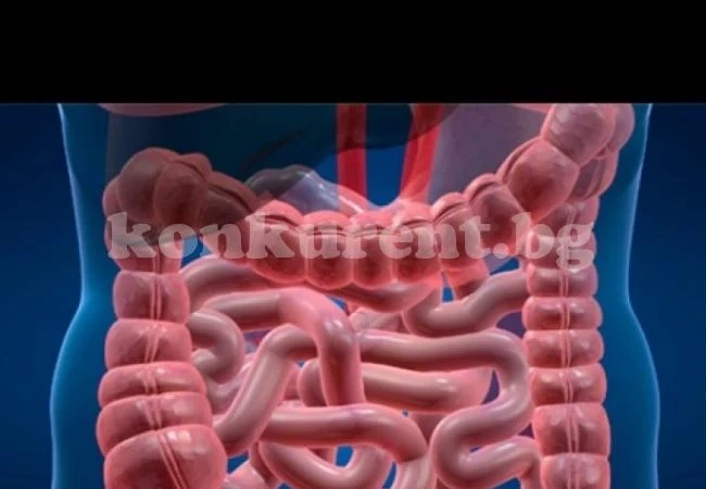 Яжте го на вечеря за 3 дни и ето какво ще излезе от стомаха ви!