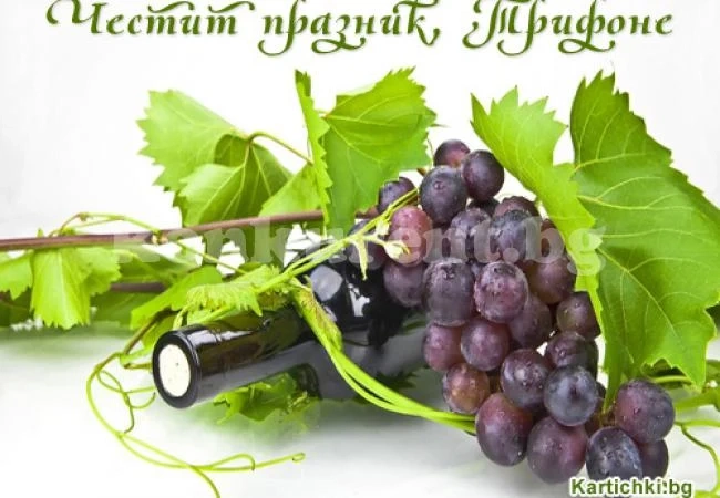 Трифон Зарезан – празникът на лозаря и виното