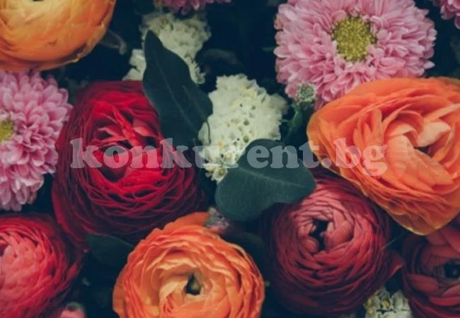 Какво е значението на 10-те най-популярни цветя