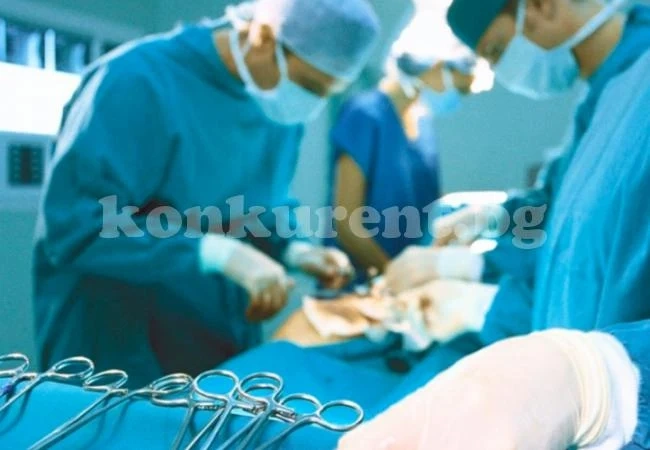 Българи пътуват до Франция, за да си купят бъбрек за 50 бона 