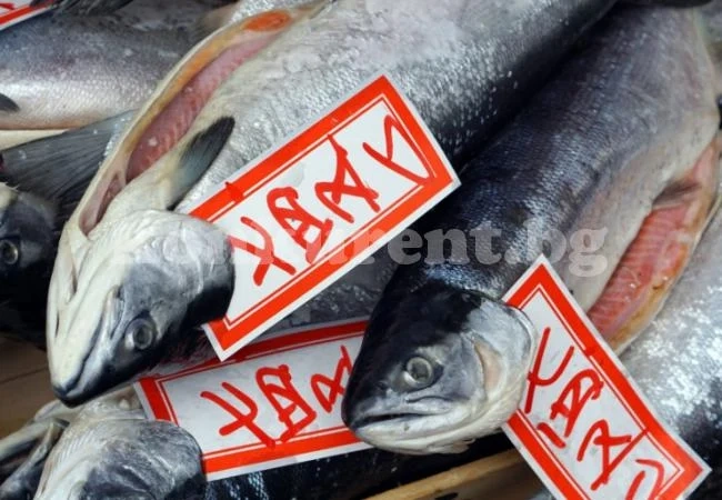Ядете вредна храна? Две порции мазна риба седмично ви решават проблемите