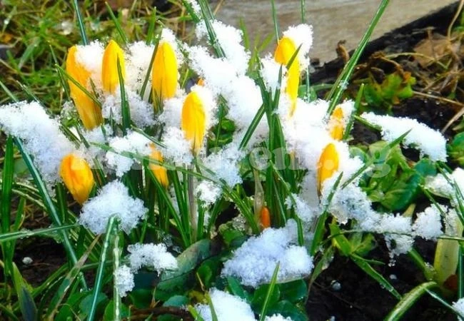 Повече слънце и приятно време ни чака в сряда
