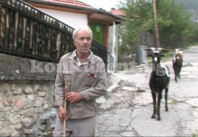 Пенсионер, нападнат от мечка, осъди държавата за 15 000 лв.