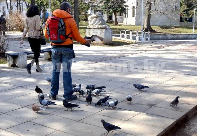 През тази нощ от запад облачността ще започне да се увеличава