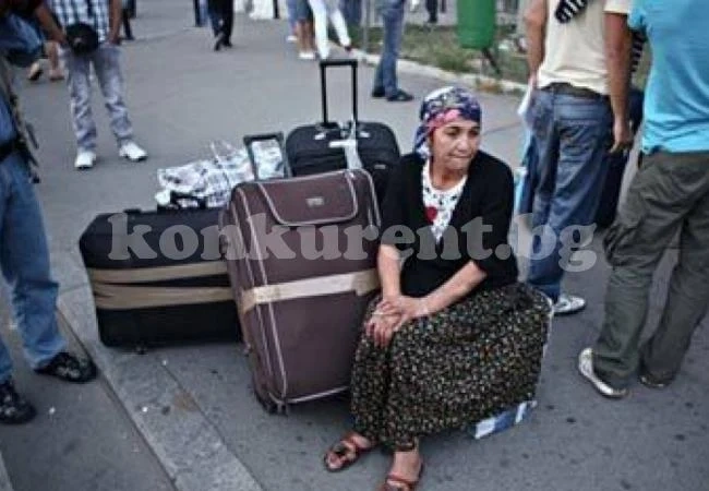 Безработна ромка се оказа „бизнесдама” с 22 фирми! Скандалната схема е...