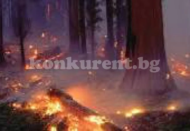 Огнено бедствие в Монтанско