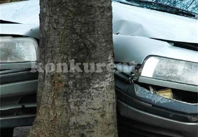 Шофьор се заби в дърво, бере душа в болница