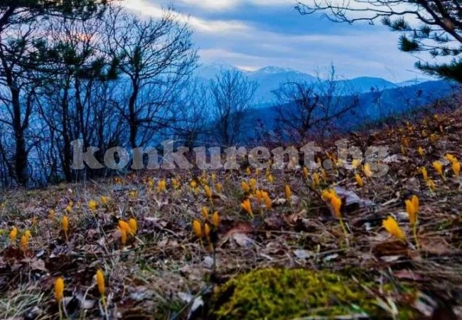 Ето какво време ни очаква през седмицата