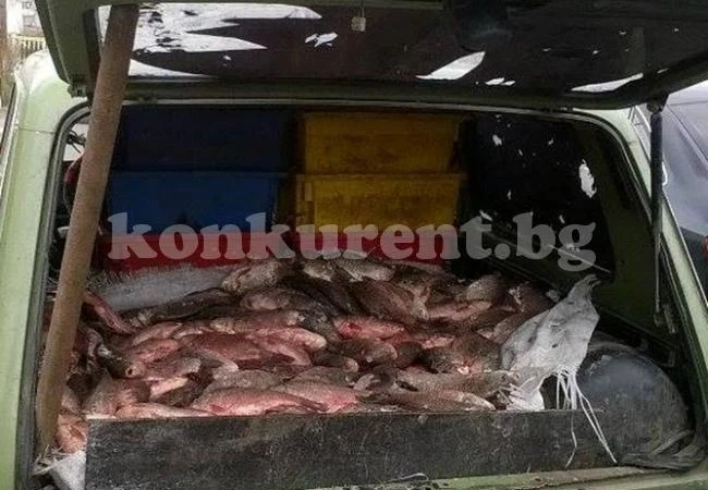 2660 кг риба е иззета при нарушения от незаконен улов