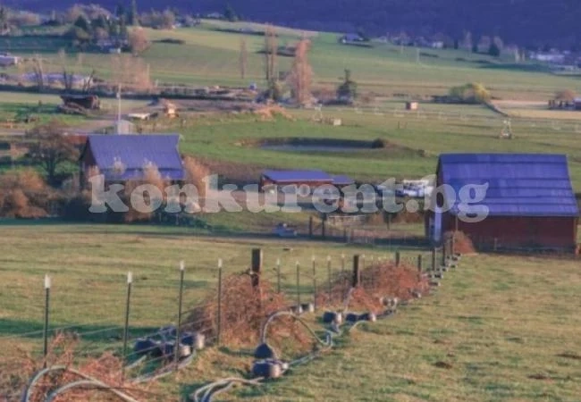 Продават цял град за 3,8 млн. долара