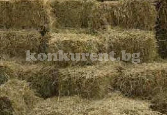 Ромка задигнала 10 бали сено и ги продала
