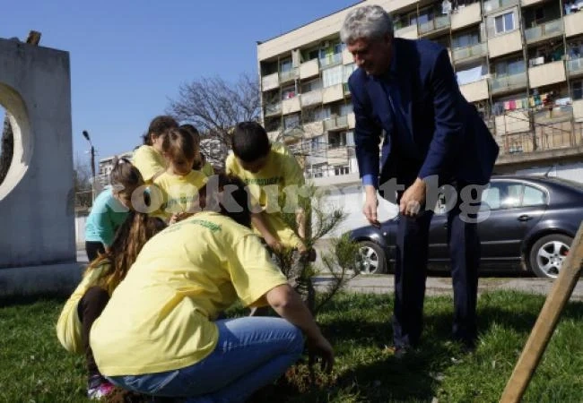 Десетки деца садиха дръвчета в Мездра