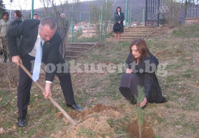Засадиха борови фиданки на 100-годишнината от гибелта на герой