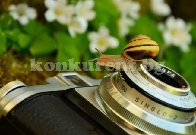 Няма такъв бизнес! Тази двойка продава СНИМКИТЕ си в Instagram за поне $3 000 всяка