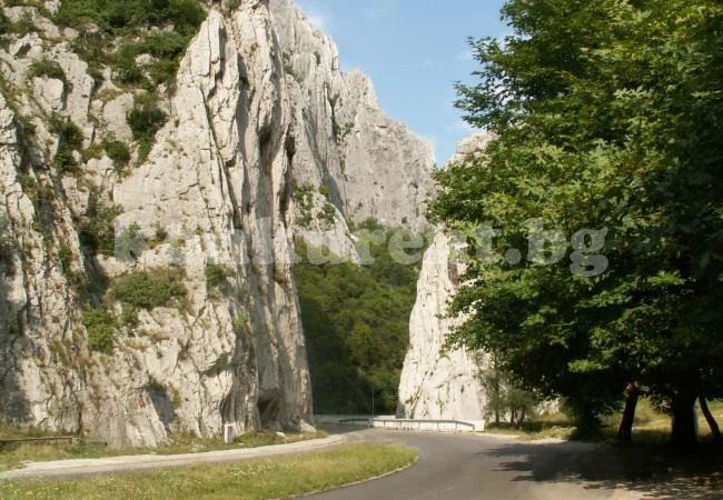Прояви за седмицата на гората