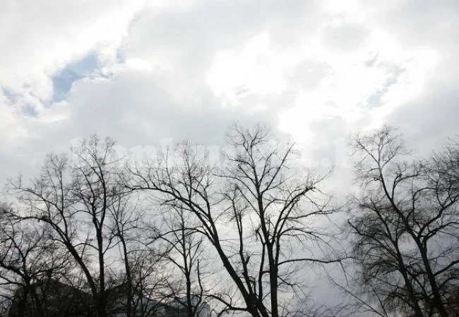 Продължава да нахлува студен въздух, в неделя градусите скачат