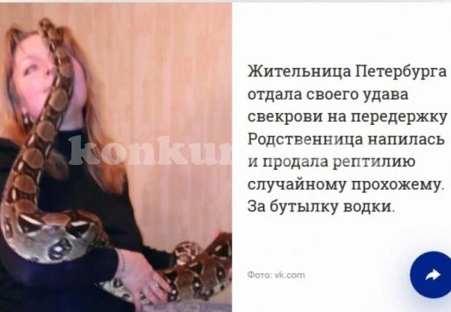 Пияна свекърва размени змия за... бутилка водка