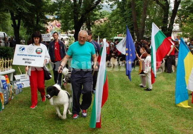 Киноложка изложба в Монтана събра над 150 кучета