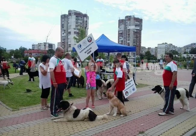 Международна киноложка изложба се проведе във Враца